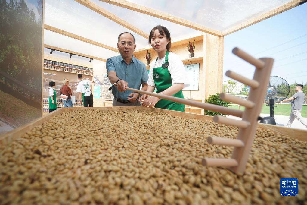 菲娱娱乐
